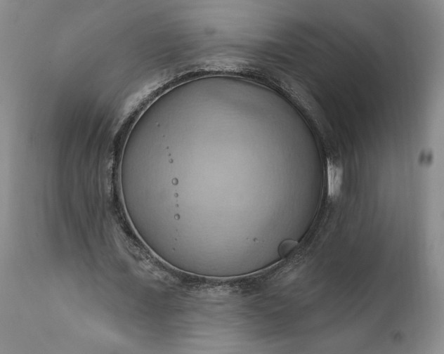 X0000111360675200907241223