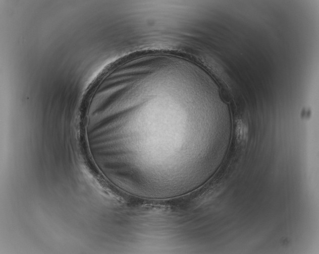 X0000111360676200907241223