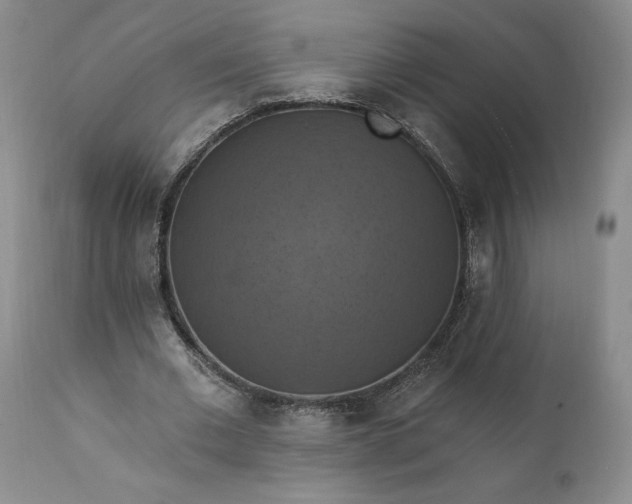 X0000111360677200907241223
