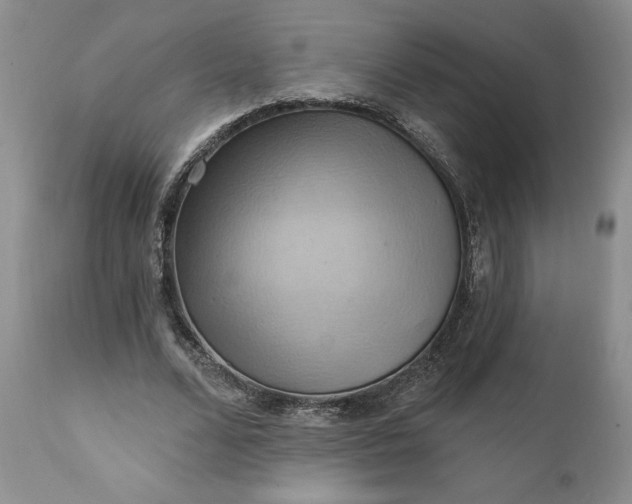 X0000111360680200907241223