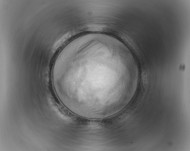 X0000111360682200907241222