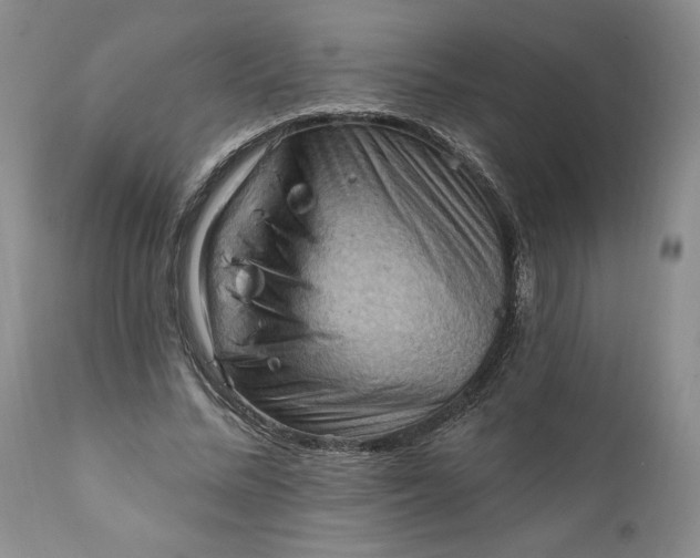 X0000111360684200907241222