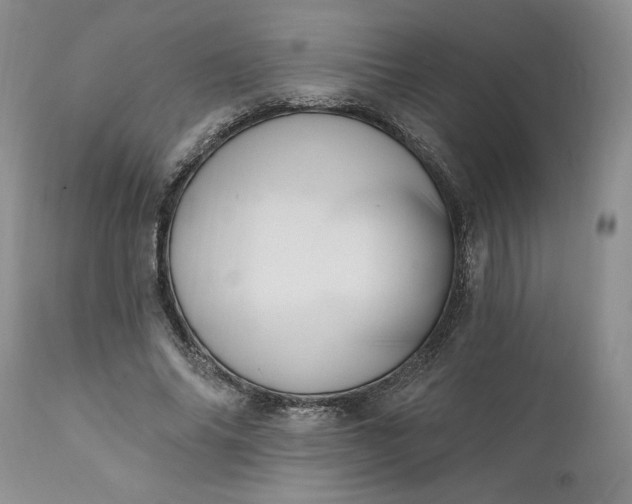 X0000111360686200907241222