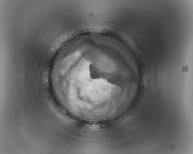X0000111360687200907241222