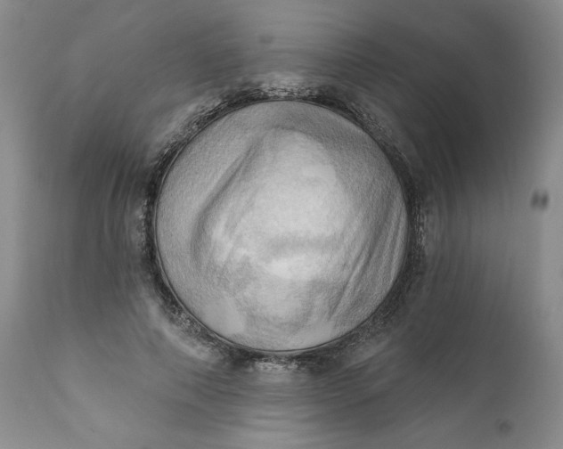 X0000111360690200907241222