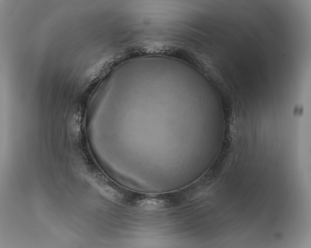 X0000111360691200907241222