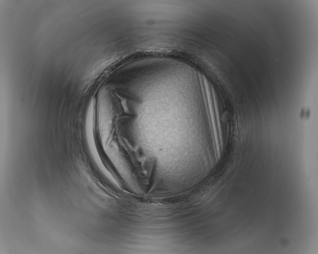 X0000111360692200907241222