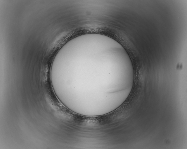 X0000111360694200907241222