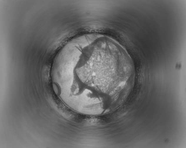 X0000111360695200907241222