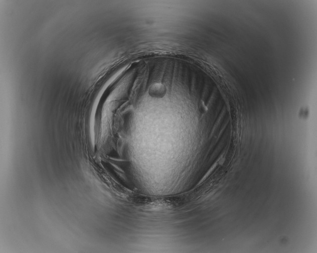 X0000111360696200907241222