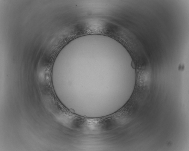 X0000111360701200907241222