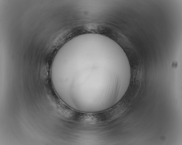 X0000111360702200907241222