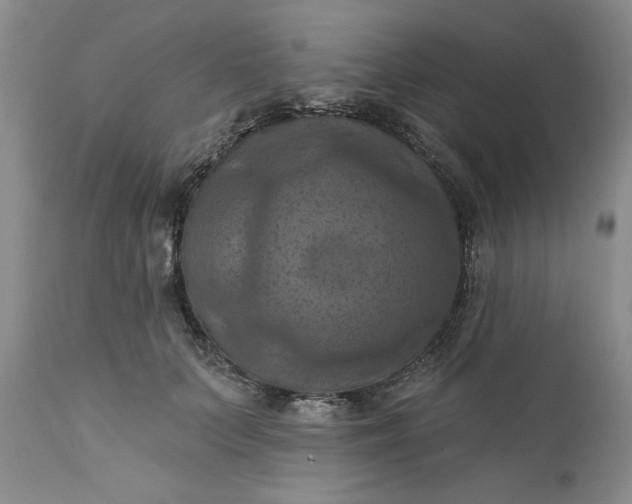 X0000111360703200907241222