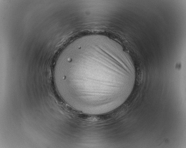 X0000111360704200907241222