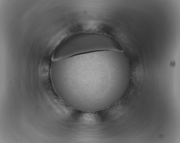 X0000111360708200907241222
