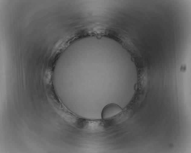 X0000111360709200907241222