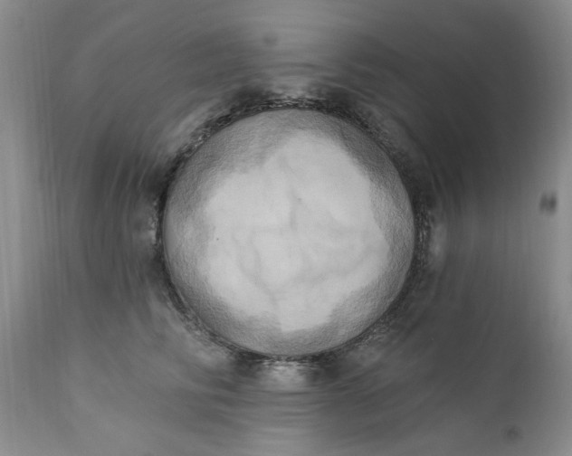 X0000111360710200907241222