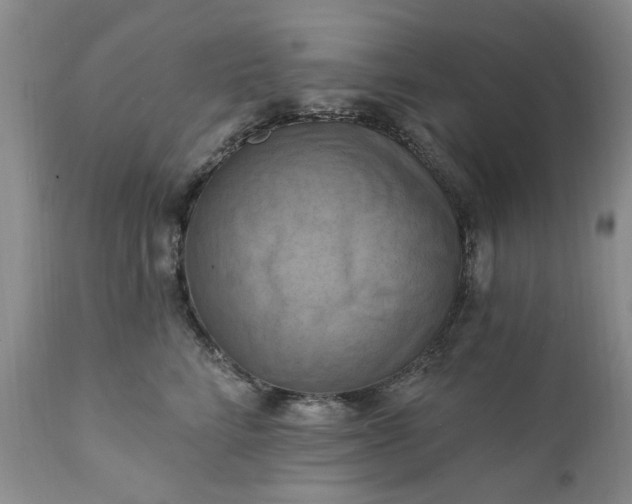 X0000111360712200907241222
