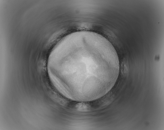 X0000111360714200907241222