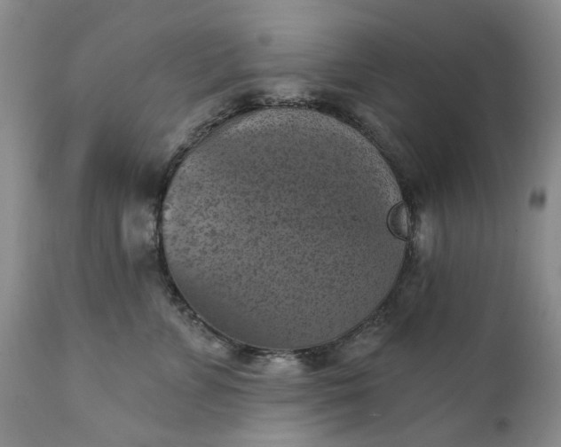 X0000111360715200907241222