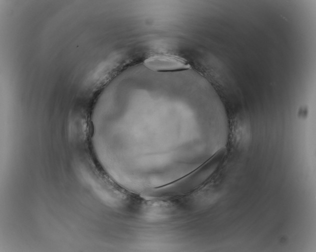 X0000111360716200907241222