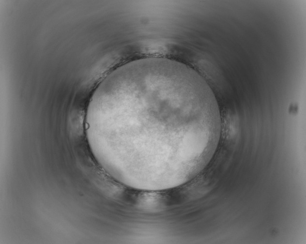 X0000111360717200907241222