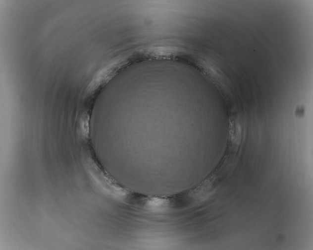 X0000111360718200907241222