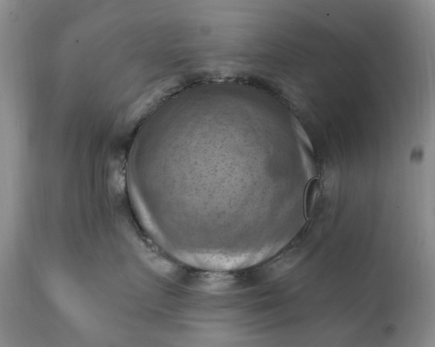 X0000111360719200907241222