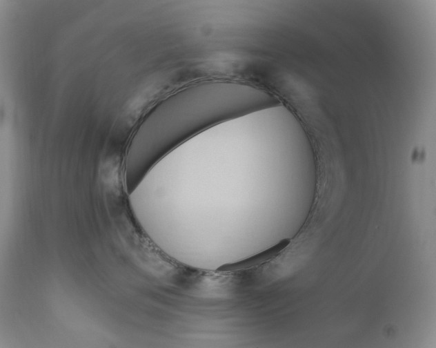 X0000111360720200907241222
