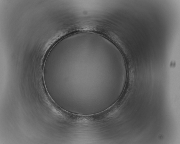 X0000111360721200907241221