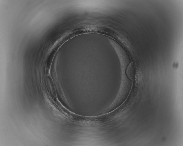 X0000111360722200907241221