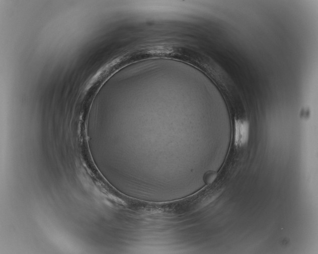 X0000111360723200907241221