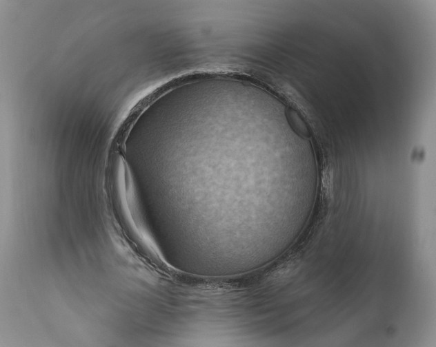 X0000111360724200907241221