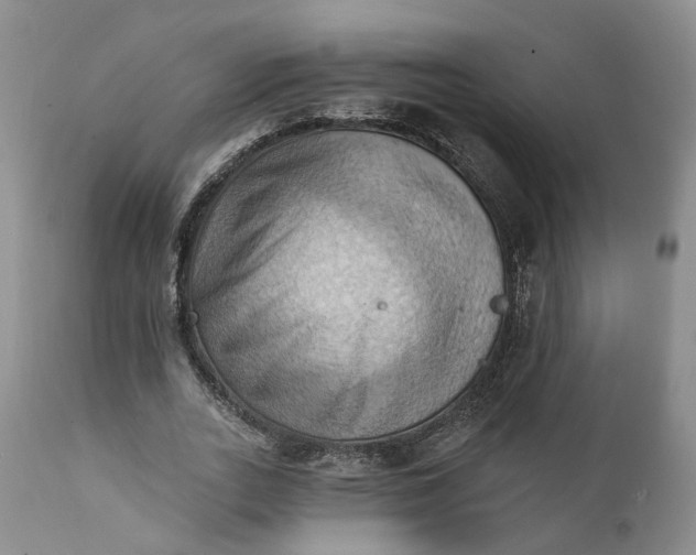 X0000111360727200907241221