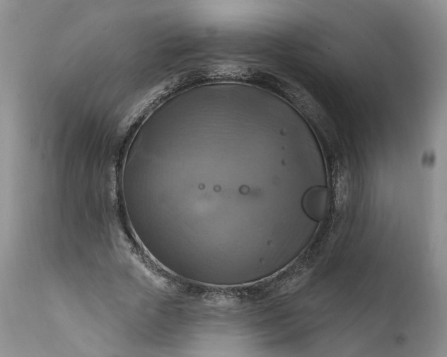 X0000111360729200907241221