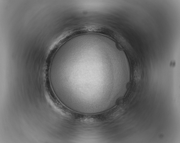 X0000111360730200907241221