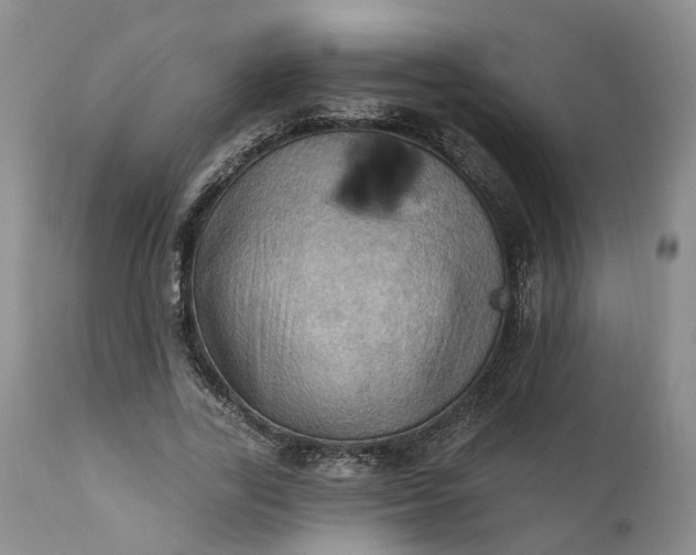 X0000111360731200907241221
