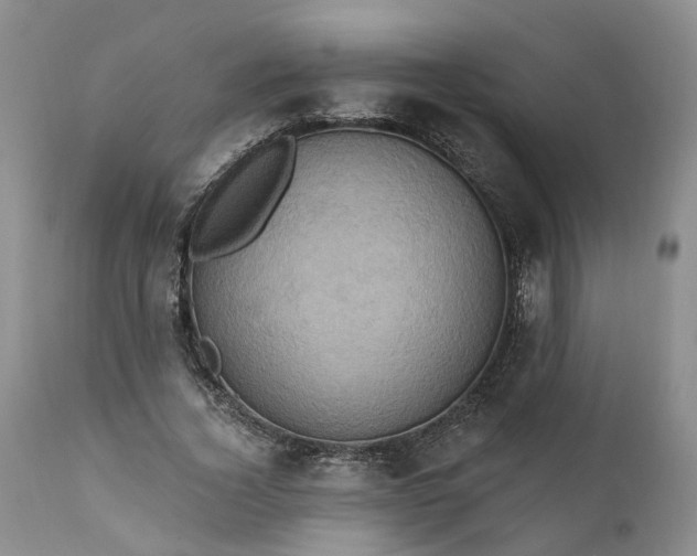 X0000111360732200907241221