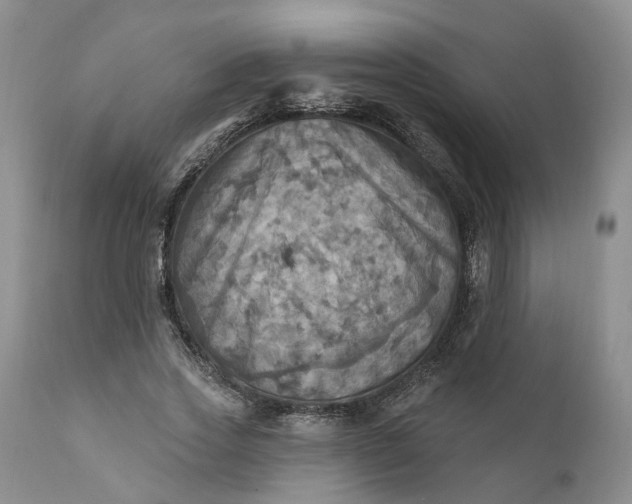 X0000111360733200907241221