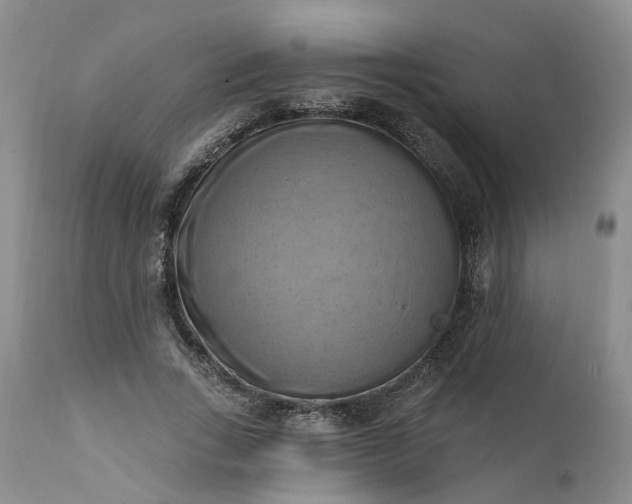 X0000111360735200907241222