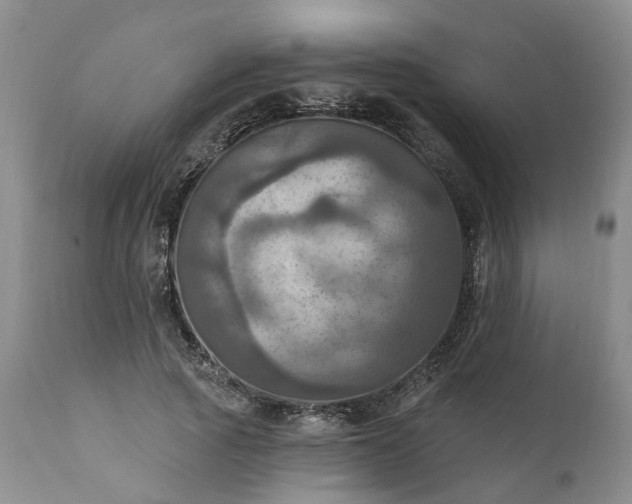 X0000111360737200907241222