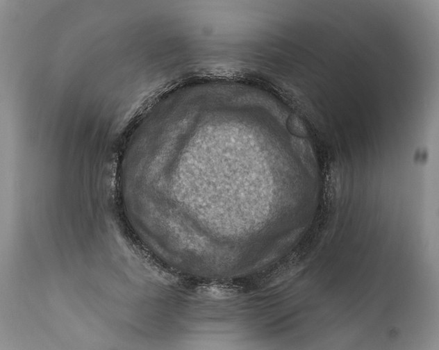 X0000111360739200907241222