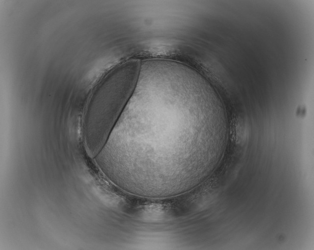 X0000111360740200907241222