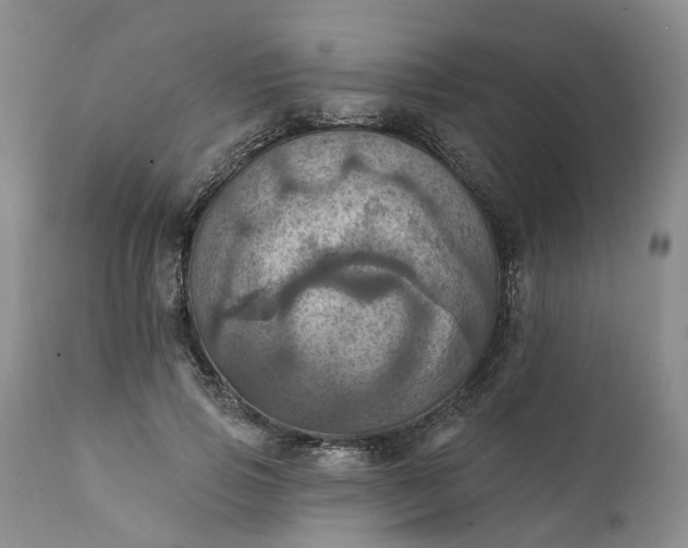 X0000111360741200907241222