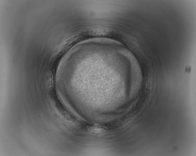 X0000111360743200907241222