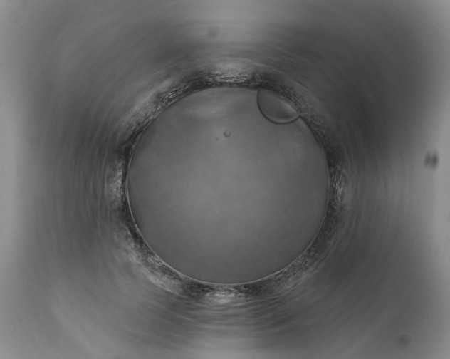 X0000111360745200907241222