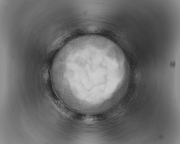 X0000111360746200907241222