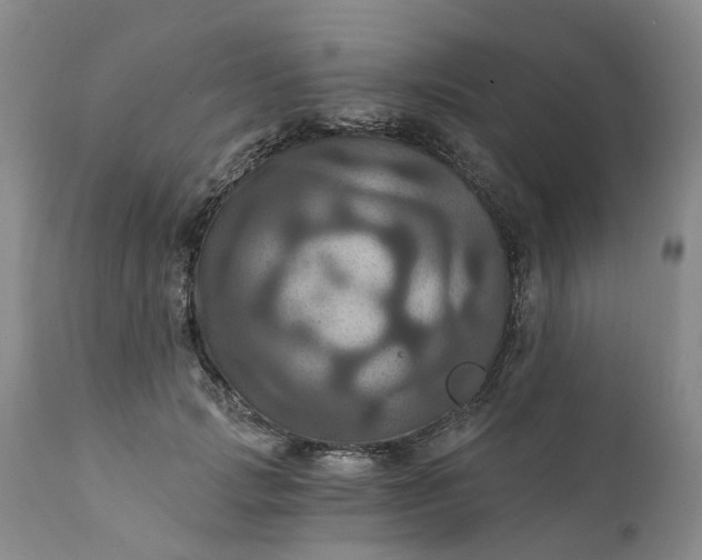 X0000111360749200907241222