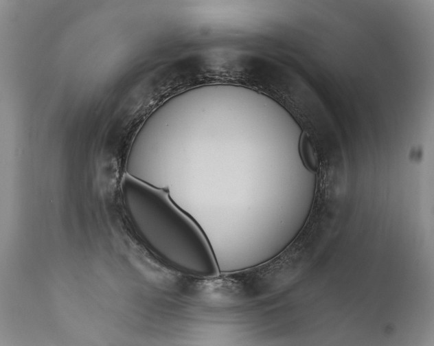 X0000111360752200907241222