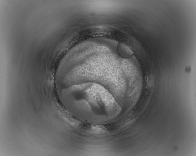X0000111360753200907241222